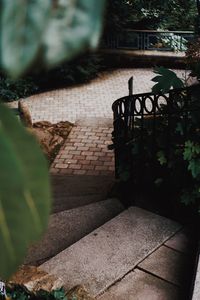High angle view of potted plants in yard