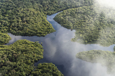 Beautiful aerial view to flooded green amazon rainforest and river