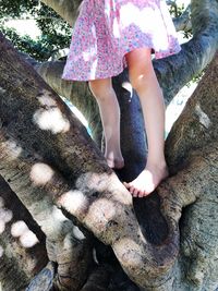 Low section of girl standing on tree trunk