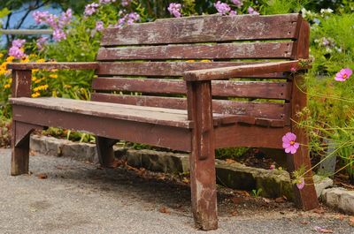 Empty bench by footpath in park