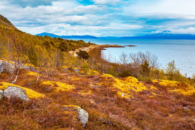 Scenic view of sea against sky