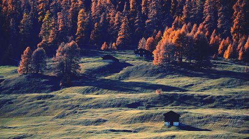 Scenic view of mountain