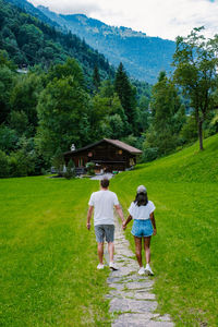 Rear view of people walking on road amidst trees