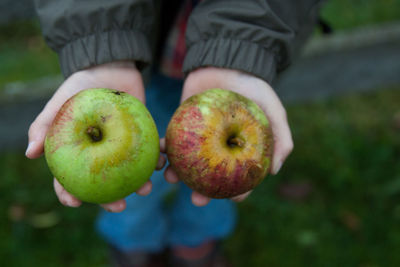 Midsection of person showing apples