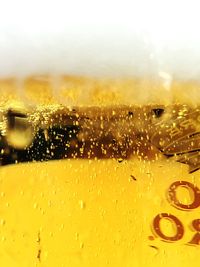 Reflection of trees in water