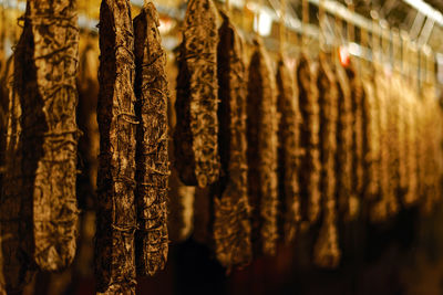 Close-up of salami maturing in the cellar