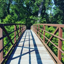 Footbridge in forest