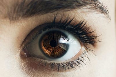 Close-up portrait of human eye