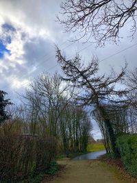 Road amidst trees against sky