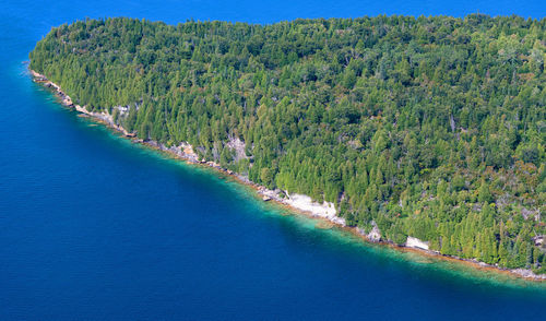 Scenic view of sea and pine trees