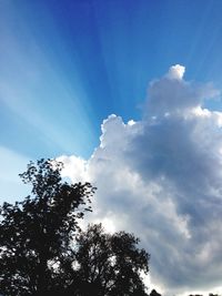 Low angle view of trees against cloudy sky