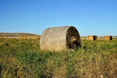 Round plus square hay bales in america