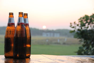 Close-up of beer bottle on table