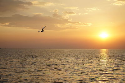 Scenic view of sunset over sea