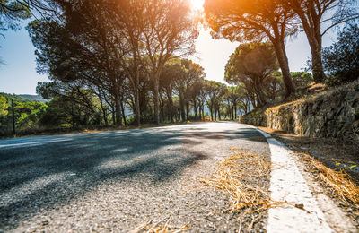 Empty road amidst trees against sky