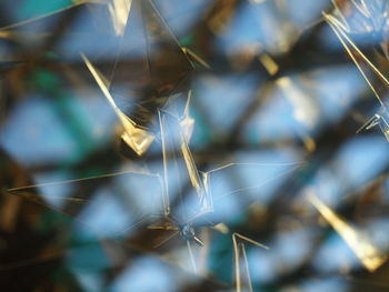 Full frame shot of blurred background