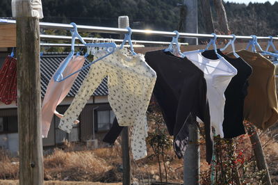 Clothes drying on clothesline