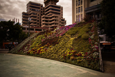 Street amidst buildings against sky