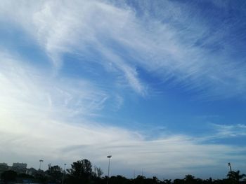 Low angle view of trees against blue sky