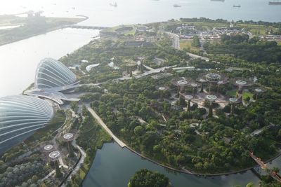 High angle view of trees and buildings in city