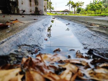 Surface level of wet footpath in puddle