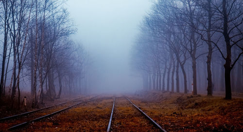 Railroad track amidst bare trees during foggy weather
