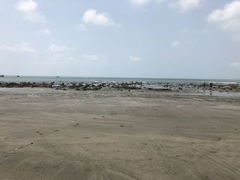 Scenic view of beach against sky