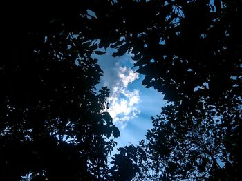 Low angle view of silhouette trees against sky