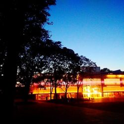 Silhouette trees against sky at night