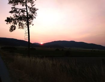 Scenic view of field against sky during sunset