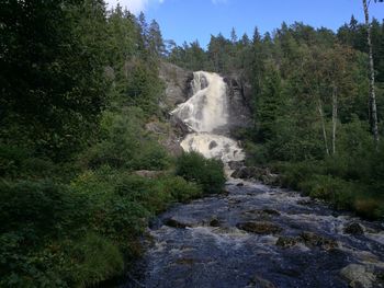 Scenic view of waterfall in forest against sky