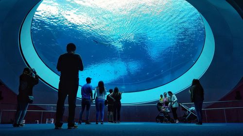 Silhouette people at aquarium