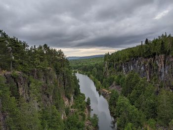 Scenic view of river amidst trees against sky