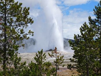 Yellowstone's old faithful 