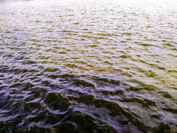 Full frame shot of rippled water