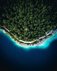 Scenic view of sea against trees in forest