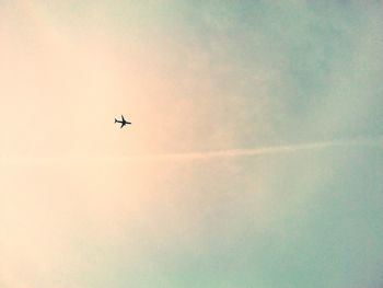 Low angle view of airplane flying in sky