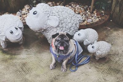 High angle view of stuffed toy