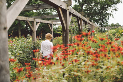 Rear view of young woman walking in park