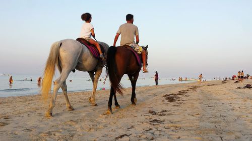 Rear view of people riding horse on beach