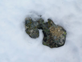 High angle view of snow covered land