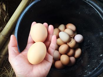 High angle view of hand holding eggs in container