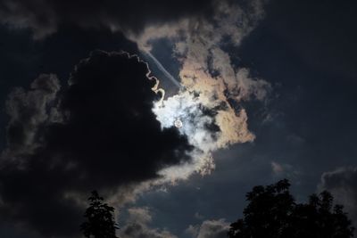 Low angle view of silhouette tree against sky at night