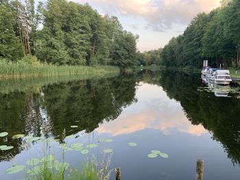 Reflection of trees in lake against sky brandenburg 