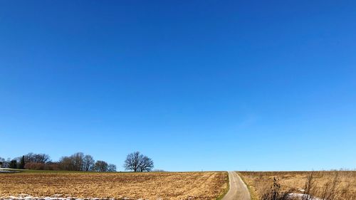 Scenic view of agricultural field against clear blue sky