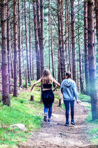 Rear view of women walking in forest