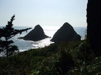 Scenic view of rock formation in sea