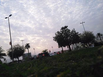 Street by trees against sky in city