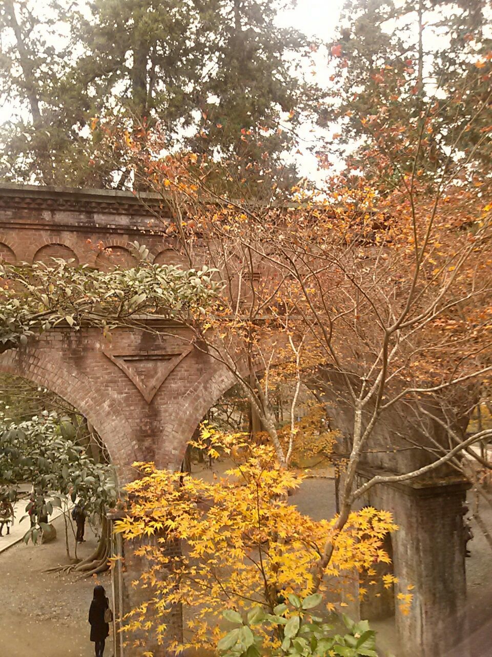 tree, growth, built structure, branch, architecture, flower, arch, nature, park - man made space, tranquility, beauty in nature, plant, day, outdoors, yellow, formal garden, low angle view, statue, building exterior, tree trunk