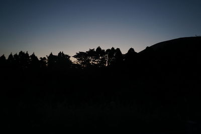 Silhouette trees against clear sky during sunset